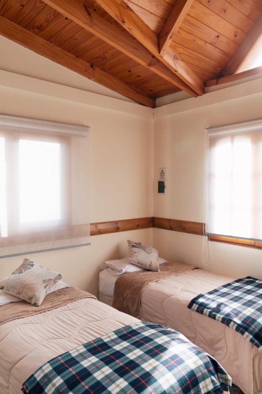 Apartment Oliva Y