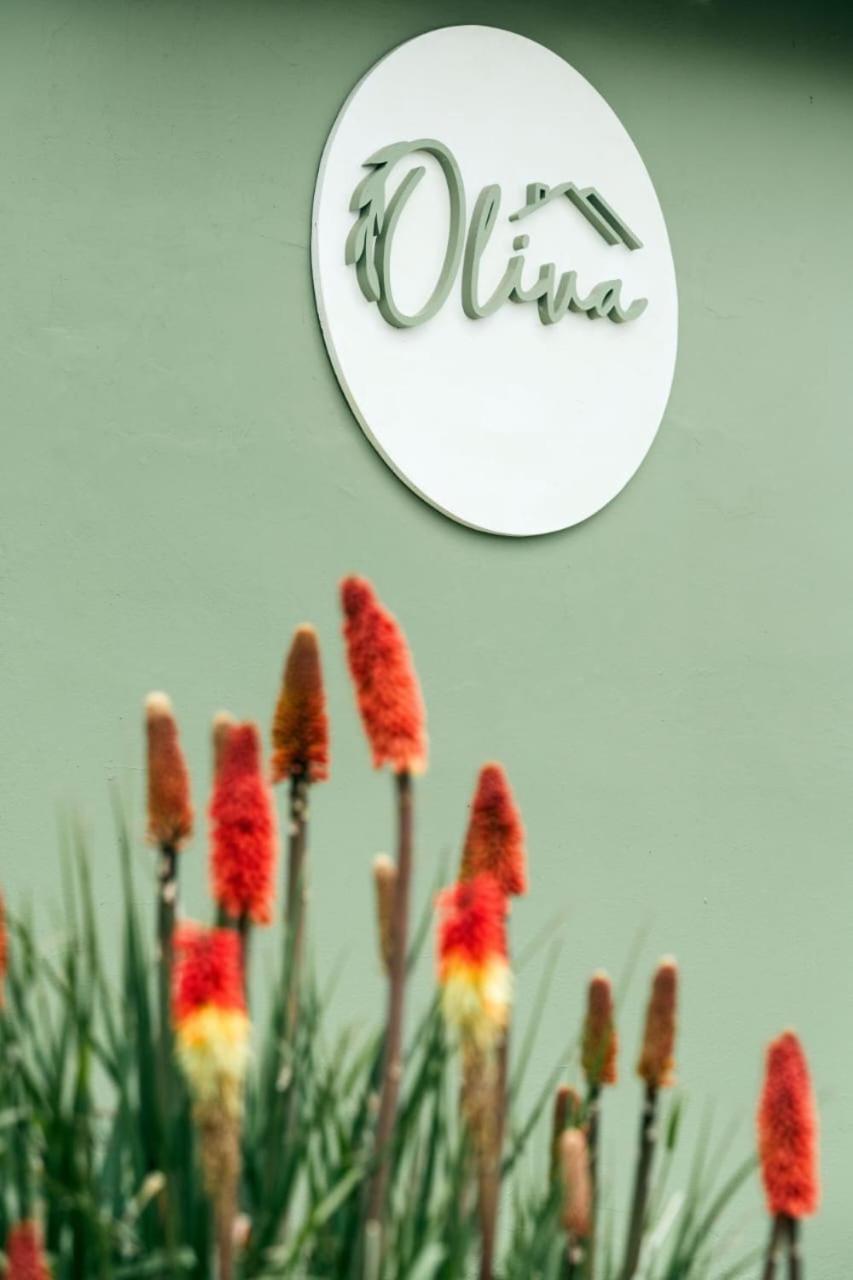 Oliva Y Apartment